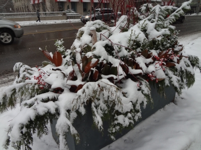 ice storm
