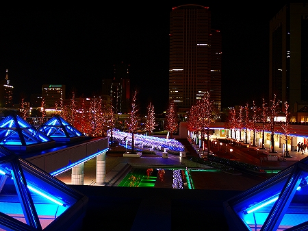 P1240773.jpg