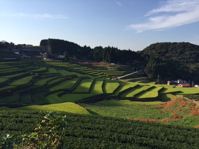 波佐見棚田