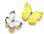 20100103_1669619.gif