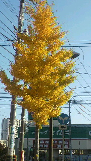2011111013550000.jpg