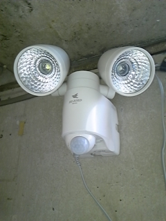 110424_173117.jpg