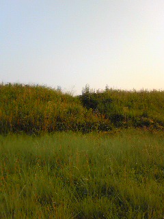 Image0181.jpg