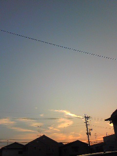 Image1161.jpg