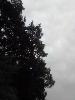 Image0041.jpg