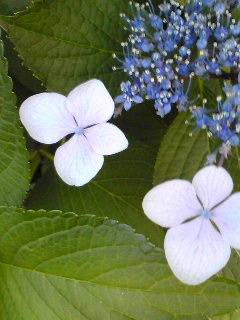 Image002~001.jpg