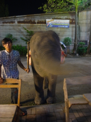 THAI ABS工場
