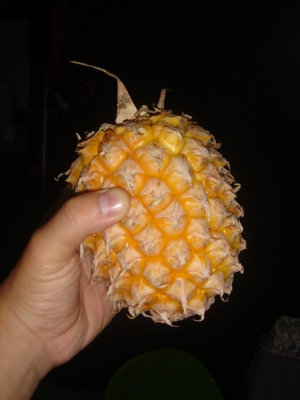 ¥Î¥¤²ÈÄí½¸²ñ3