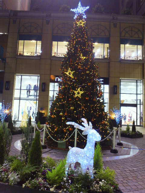 P1001077.jpg