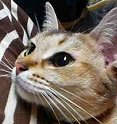 抱かれてうれちぃあたち♪