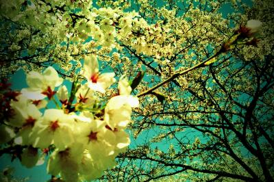 rps20120414_231442.jpg