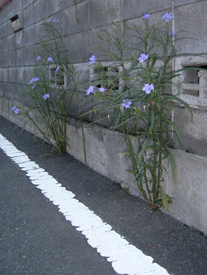 20060907