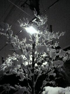 雪