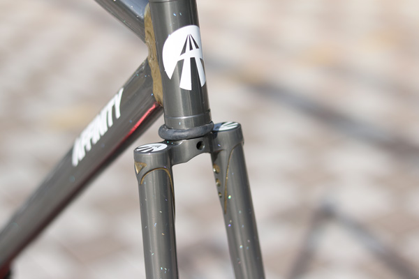 AFFINITY CYCLES * LO PRO * 10th Anniversary！！！ | シオカゼストア