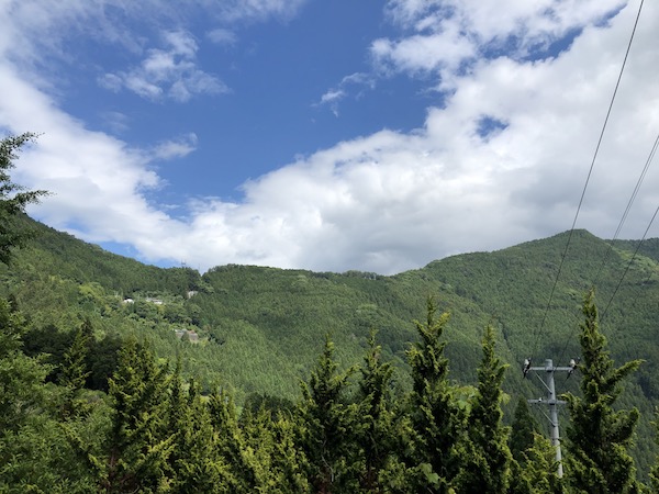 IMG_5219.JPG