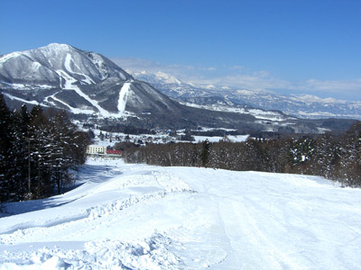 どうでもいいけどこの画像1200枚目だそうですそんなもう置いてないのにね