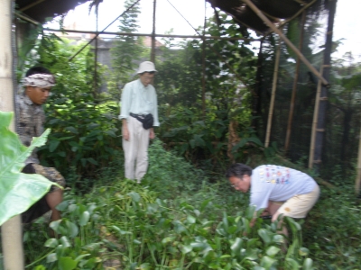 ホタル育成ハウス