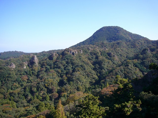 20061111_178747.jpg