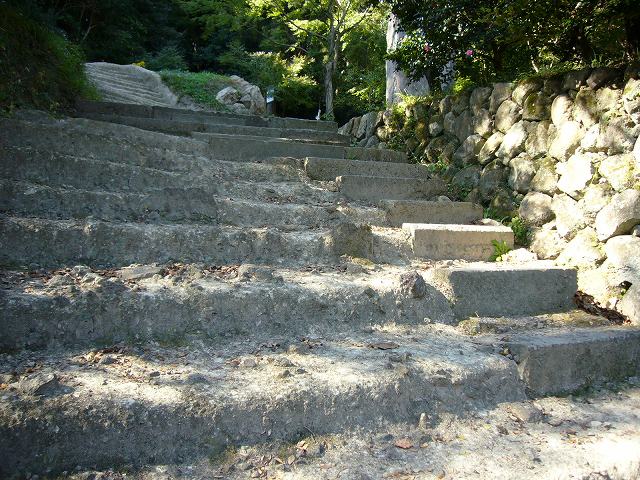 20061111_178751.jpg