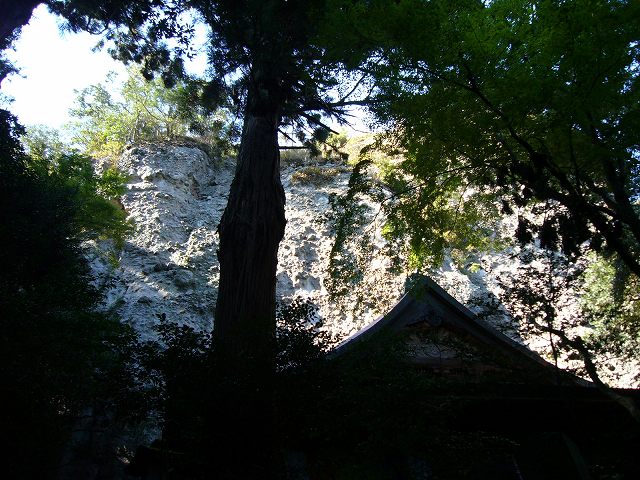 20061111_178784.jpg