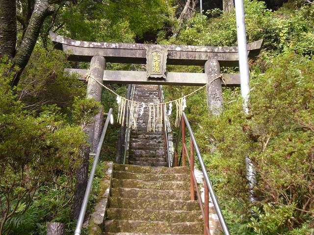 20061124_187476.jpg