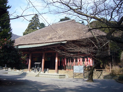 20070307_247798.jpg
