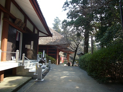20070307_247799.jpg