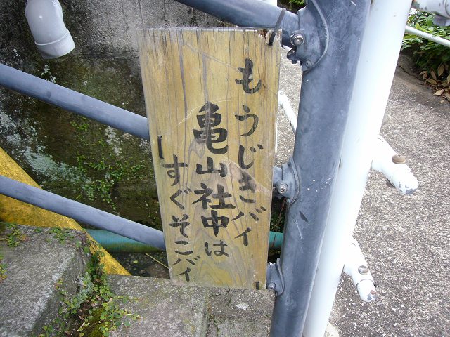20070310_250084.jpg