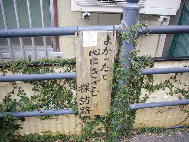 20070310_250090.jpg