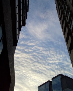 20200517_3785232.jpg