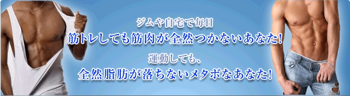 ¶Ú¥È¥ì