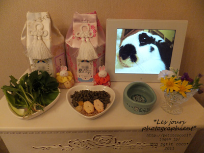 DSCF1019_1.jpg