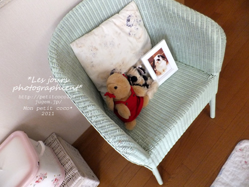 DSCF8477_1.jpg