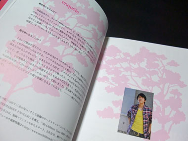 LuckyRaccoon (¥é¥Ã¥¡¼¥é¥¯¡¼¥ó) 31¹æ