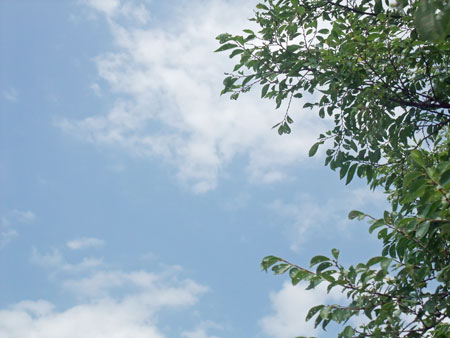 Çß±«ÌÀ¤±¡ª
