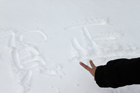 2011ǯ¡¡²ìÀµ