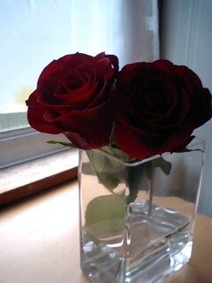 薔薇