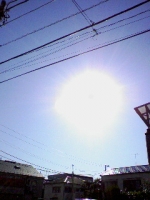 ¤Þ¤Ã¡¢¤Þ¤Ö¤·¤¤¡ªÍϤ±¤ë¡Á¡Á¡ª¡ª