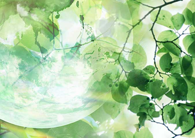 自己流の節約は節約になっていないこともある!?