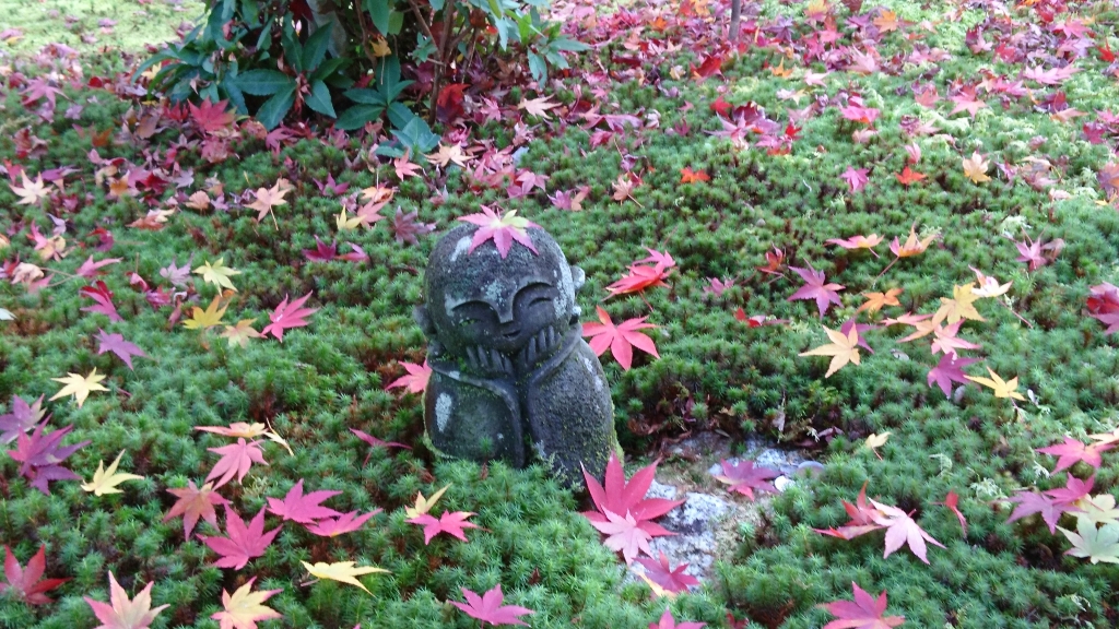京都】叡山電車沿線 紅葉巡り 🍁圓光寺 | Pontaな毎日
