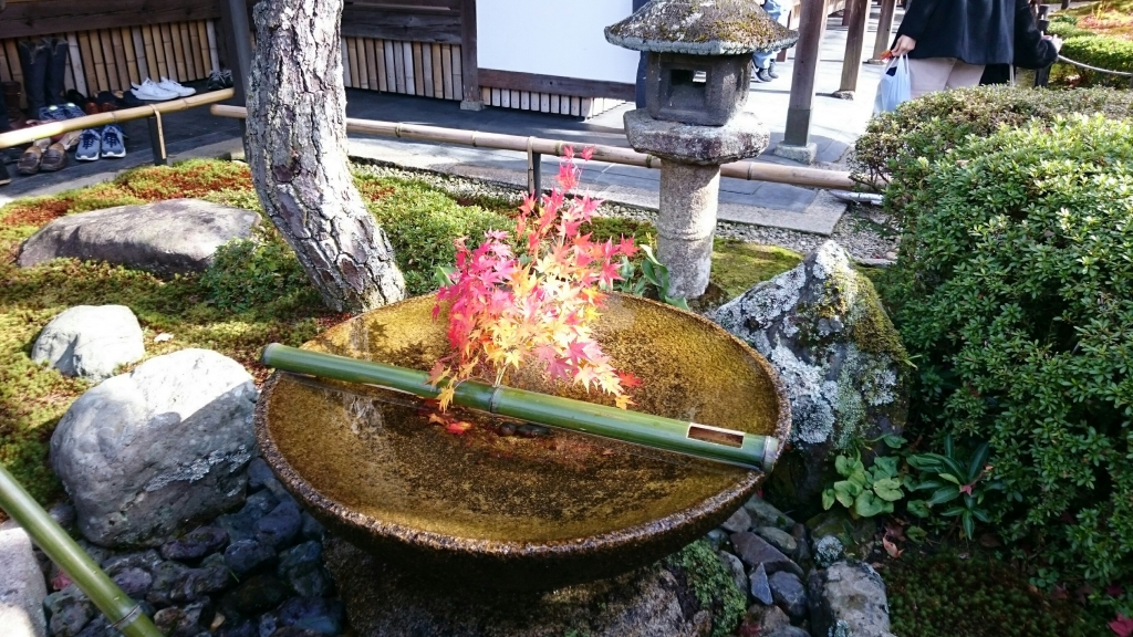 京都】叡山電車沿線 紅葉巡り 🍁圓光寺 | Pontaな毎日