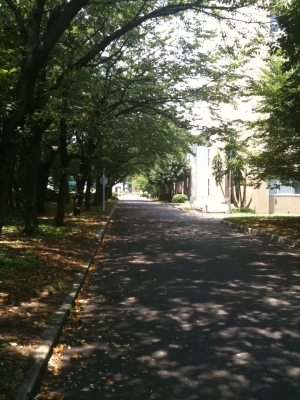 通路