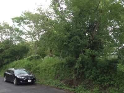 20140912_901374.jpg