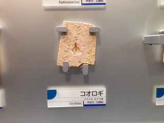 iPhoneImage.png