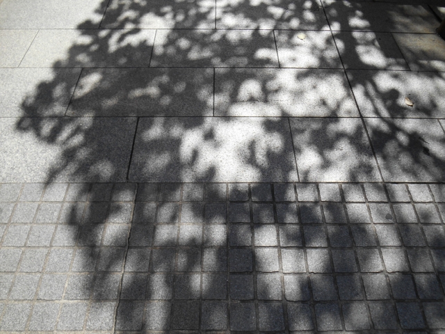 DSCN0143.jpg