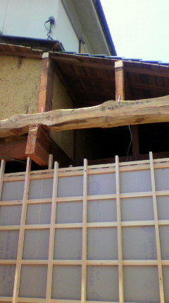 2010061211570000.jpg