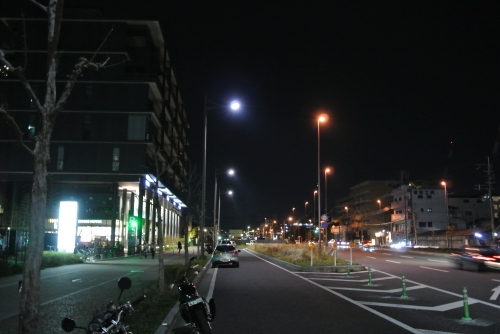 DSC_1175.JPG