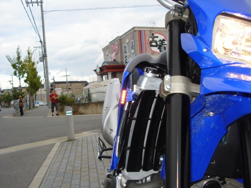 DSC06271.JPG