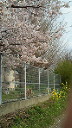 201003311003001.jpg