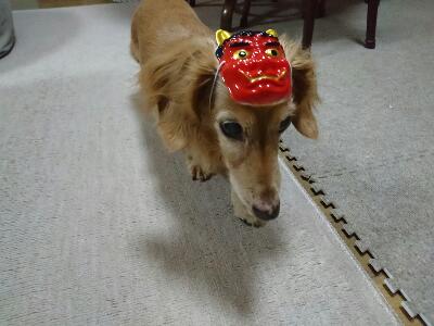 rps20170206_103138.jpg